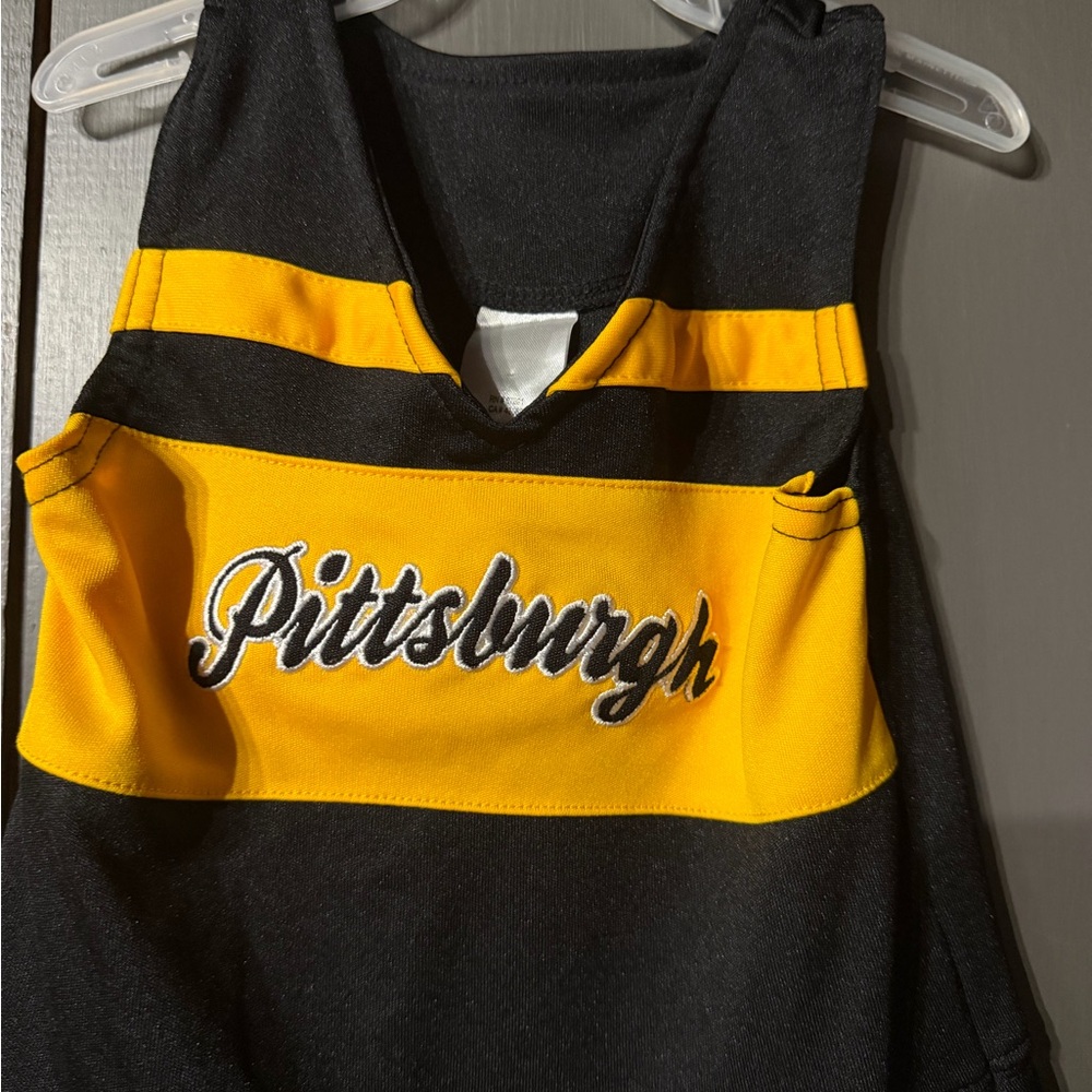 Pittsburgh Steelers Cheer! - Picture 3 of 5